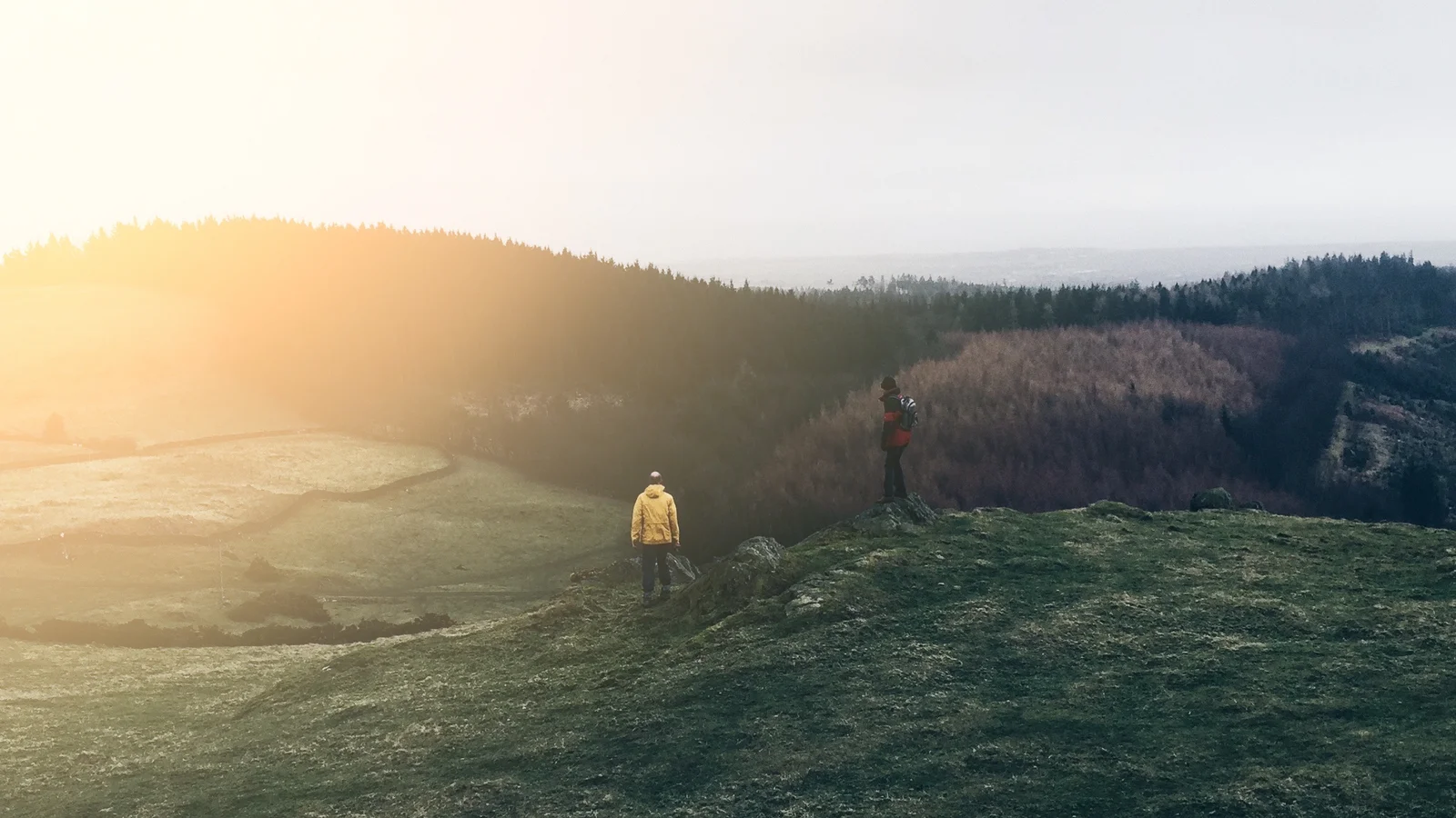 ALT Text Landschaft